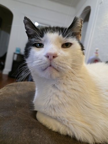 20260123_171845.jpg