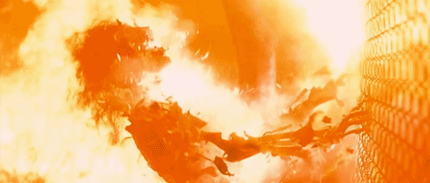 c812da834c15de9cd55274737f2fd821.gif