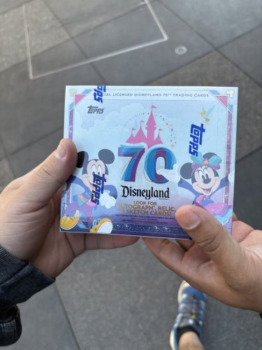 IMG_3511.jpeg