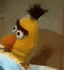 stare2.gif