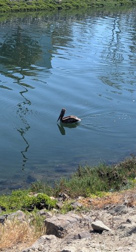 PXL_20260318_182411267~3.jpg