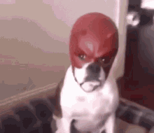 upload_2026-3-24_20-14-0.gif