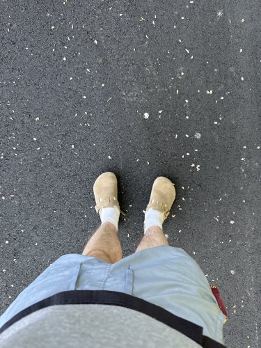 IMG_7986.jpeg