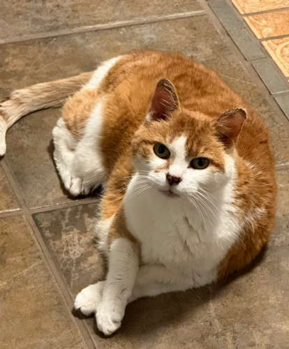 Screenshot 2026-05-07 173857.png
