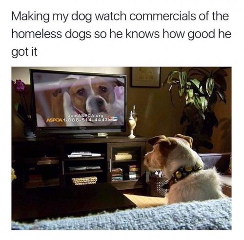FB_IMG_1522273125167.jpg
