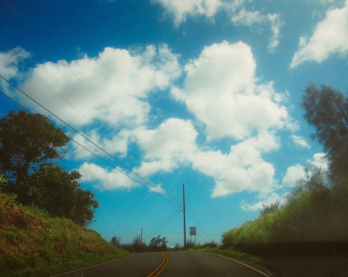 P1010402.jpg