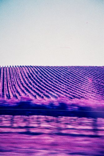 4039273-R1-E034.jpeg