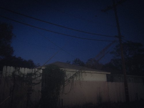 P1010436.jpg