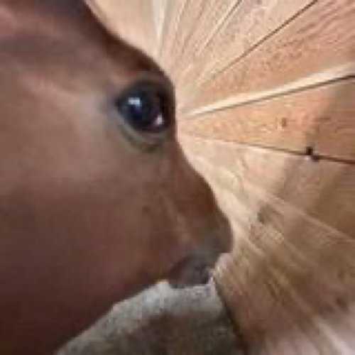 IMG_3825.jpeg