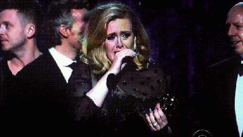giphy (12).gif