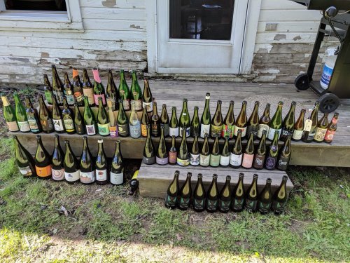 beer.jpg