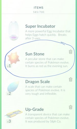 Screenshot_20180708-034947_Pokémon GO.jpg