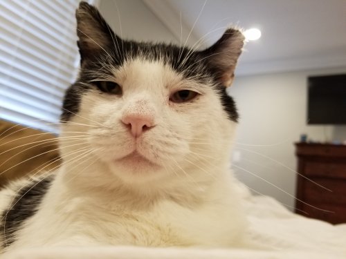 20180623_101259.jpg