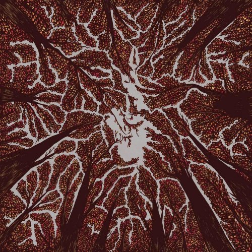 trash-boat-crown-shyness.jpg