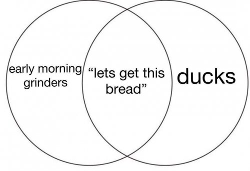 ADD998B3-1E8B-4490-89C0-D0F8F151574F.jpeg