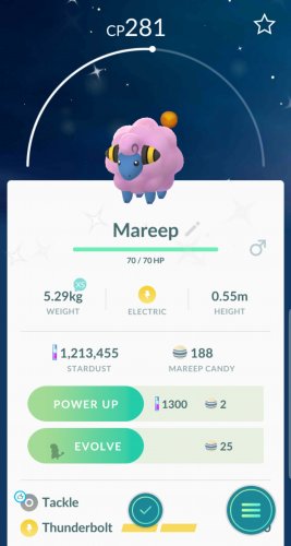 Screenshot_20181130-173836_Pokémon GO.jpg