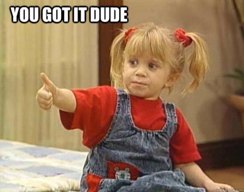 You-Got-It-Dude-meme.jpg