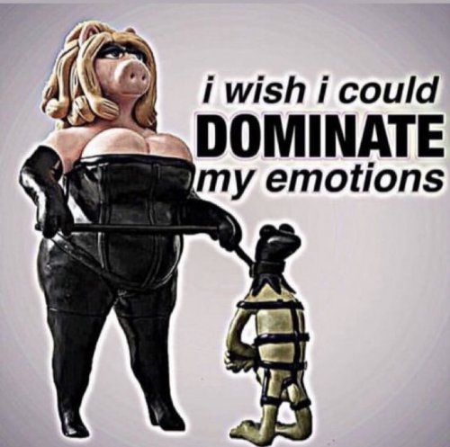563C93B7-6944-4AC4-8056-5521BDFA3977.jpeg
