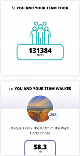 Screen Shot 2019-01-01 at 9.25.34 PM.png
