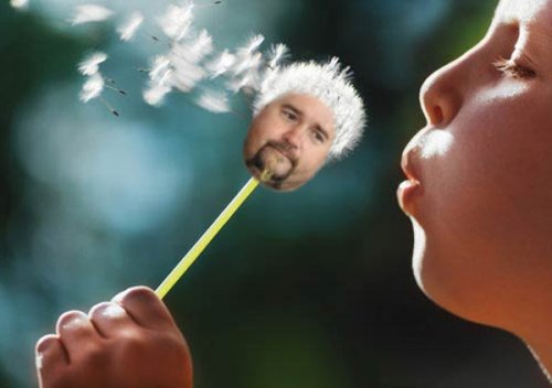 guy-fieri-1.jpg