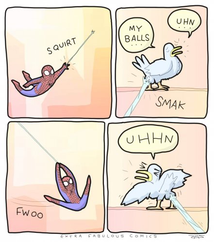 received_343621573033969.jpeg