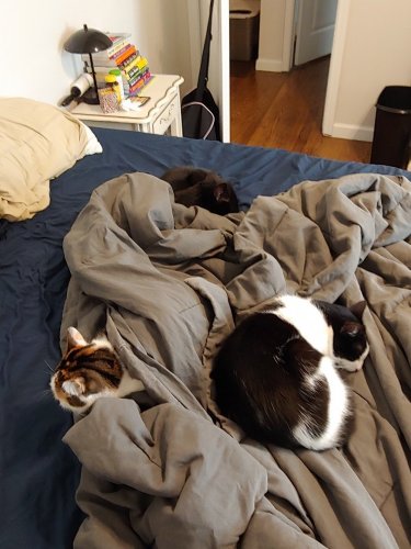 20181231_120803_resized.jpg