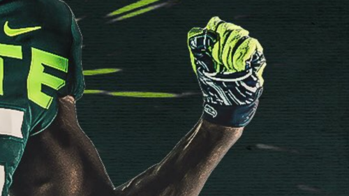 michigan-state-seahawks_zitvutmzt9kk1hlicpriqlcue.png