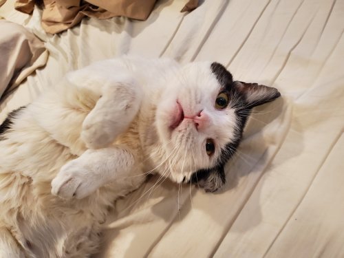 20190404_174616.jpg