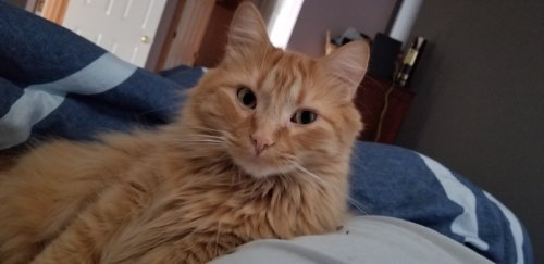 20190421_150948.jpg