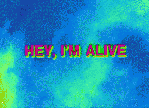 image.gif