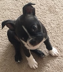 image.jpeg