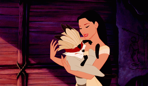 image.gif