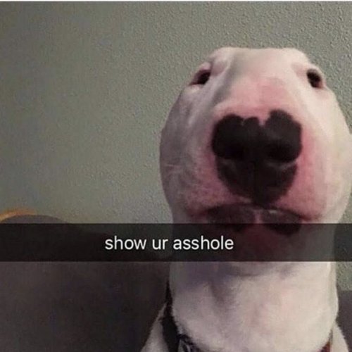 E92C8EC0-A67D-4A37-8E0D-1B3045CF5037.jpeg