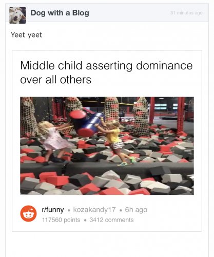 5B353F10-8D9E-4AE0-9EC8-57ED6F2B4BA0.jpeg