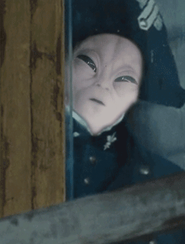upload_2019-7-31_13-42-39.gif