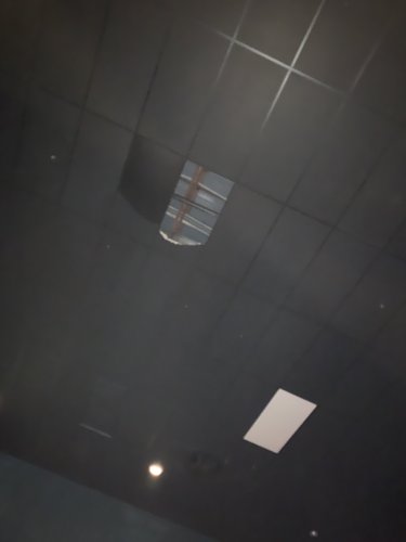 C426DF7E-4156-4902-AC98-3A5423830450.jpeg