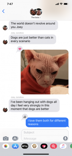 56F6907F-41F0-4BB4-942E-508F61C0E869.png