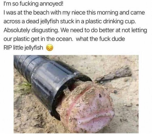 a85edb2.jpg