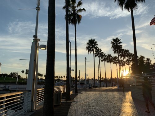 F0E36073-04D5-4677-B580-A0A4F4643621.jpeg
