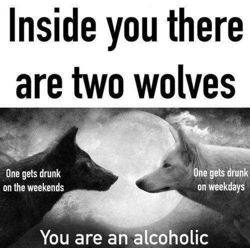C2A8BCE0-6288-442A-B422-E8F74775C7A0.jpeg