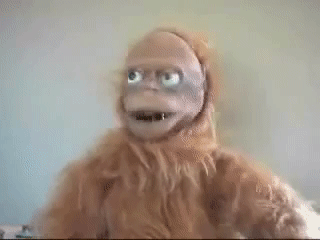 DA0B321F-DBC2-4FDF-8242-FF1547DFB6DC.gif