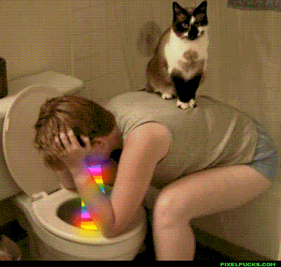 IMG_3193.GIF