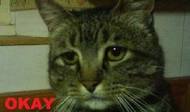upload_2016-12-6_9-29-57.jpeg