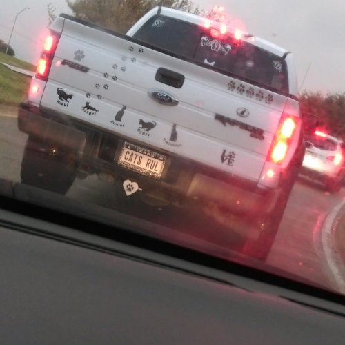 IMAG0884-01.jpeg