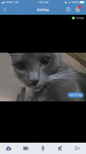 B5939374-0A7B-4C60-9D8A-DC55BA3E9FE5.png