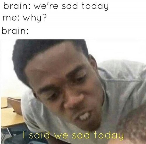 03ABD527-0F90-4CE4-BA03-F5E052B33747.jpeg