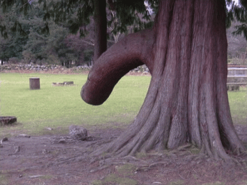 BA48E300-61EA-406F-94F1-8CF98D0BC327.gif