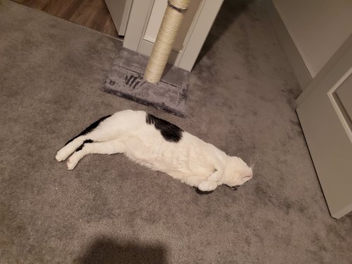 20191127_173613.jpg