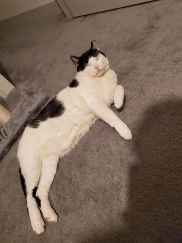 20191127_173552.jpg