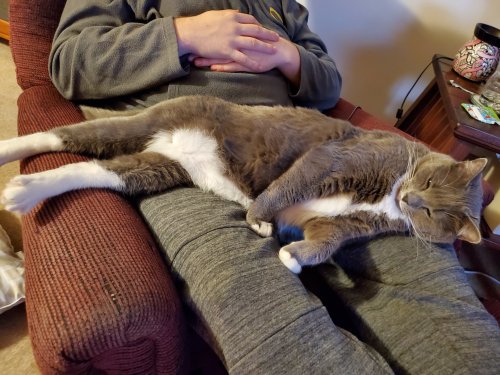 20191220_204757.jpg
